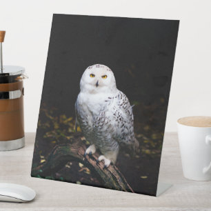 Majestic winter snowy owl pedestal sign