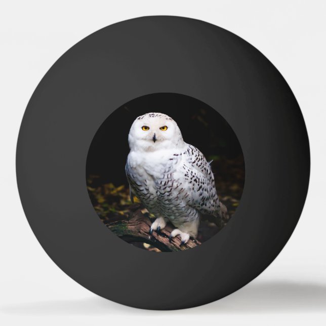 Majestic winter snowy owl ping pong ball (Front)