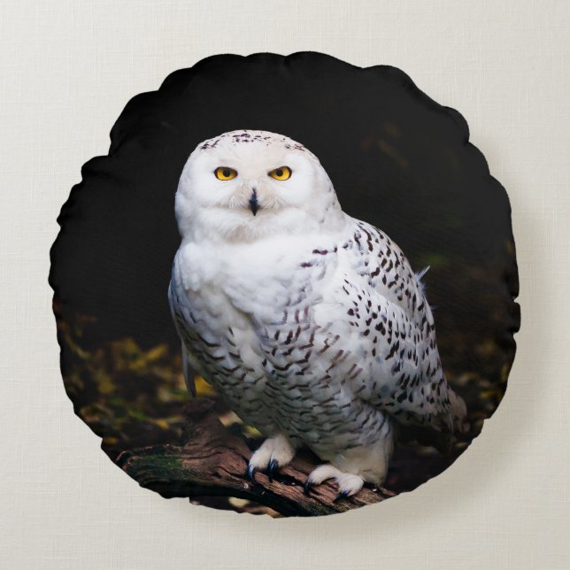 Majestic winter snowy owl round cushion (Front)