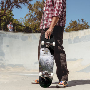 Majestic winter snowy owl skateboard