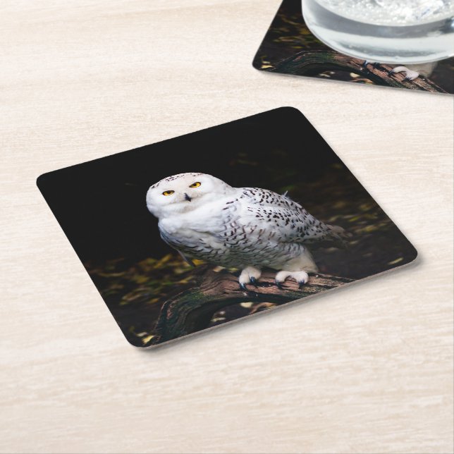 Majestic winter snowy owl square paper coaster (Angled)