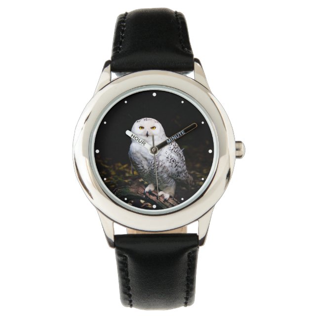 Majestic winter snowy owl watch (Front)