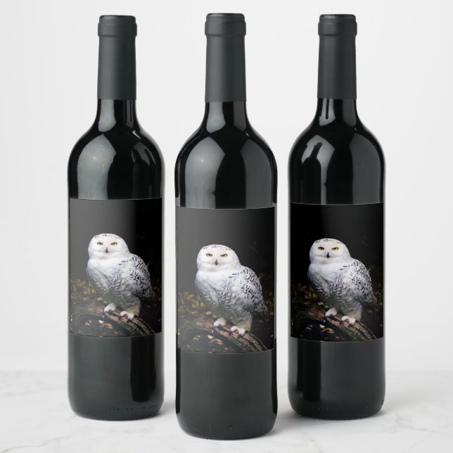 Majestic winter snowy owl wine label (Bottles)