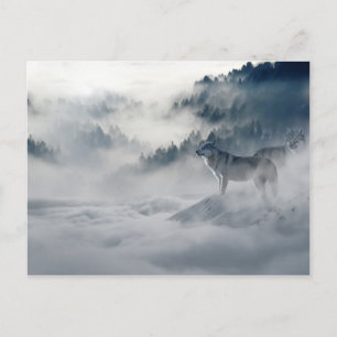 Majestic Wolves in the Forest Mist Postcard
