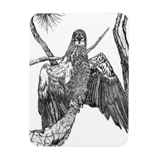 MAJESTIC YOUNG EAGLE IN HERALDIC POSE MAGNET (Vertical)