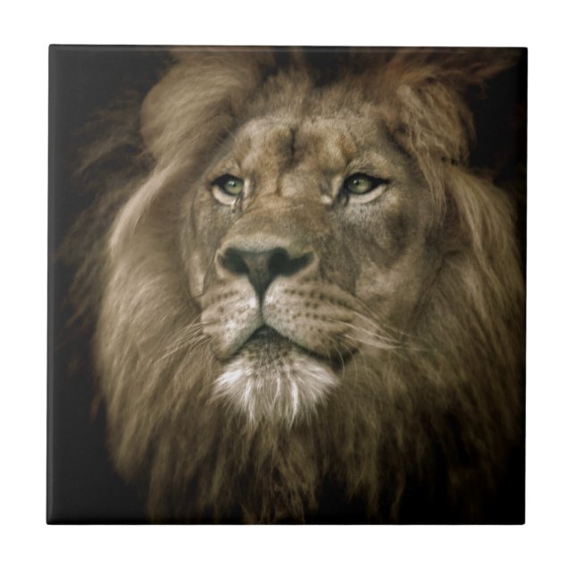 Majesty.jpg Tile (Front)