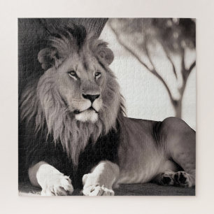 Majistic African Lion Black and White Jigsaw Puzzle