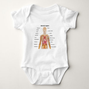Major Internal Organs in the Human Body Chart Baby Bodysuit