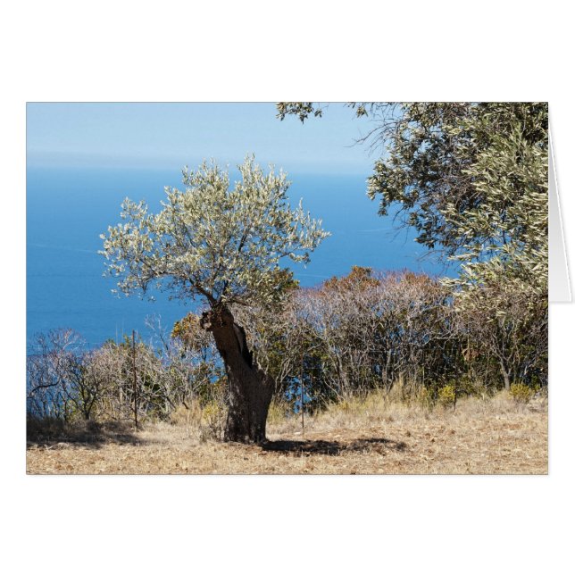 Majorca (Front Horizontal)