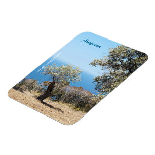 Majorca Magnet