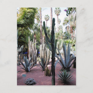 majorelle exotic plants postcard