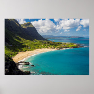 Makapuu Beach Coastline Poster
