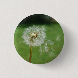 Make A Wish 3 Cm Round Badge
