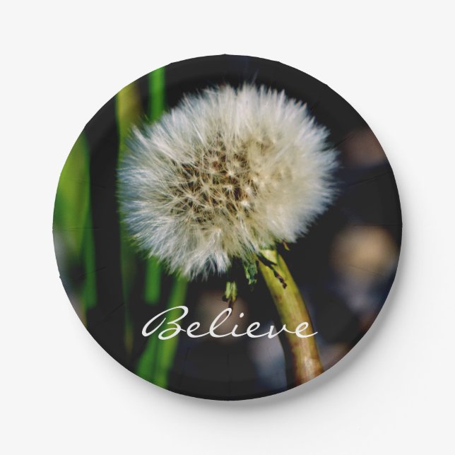 Make a Wish, Believe, Dandelion Paper Plate (Front)