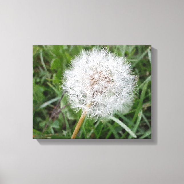 Make a Wish Canvas Print (Front)