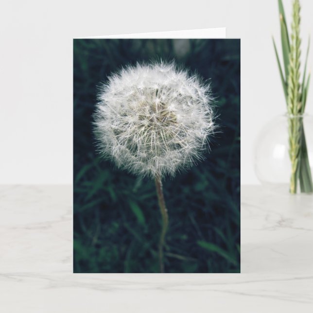 Make a Wish Card (Front)