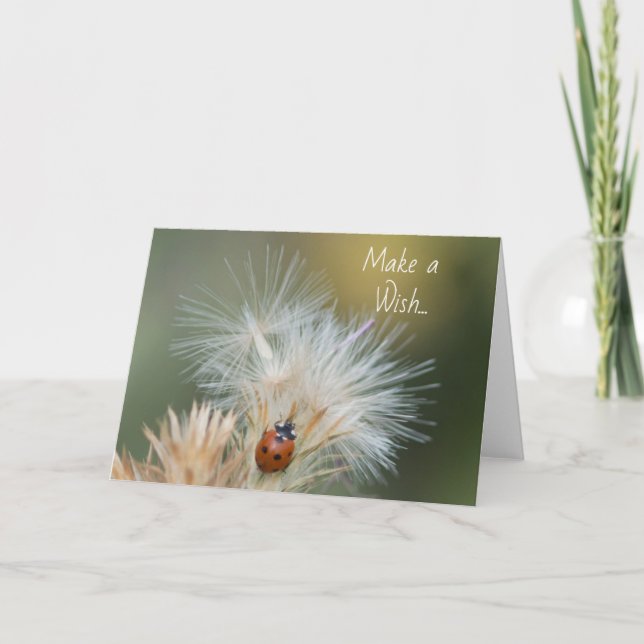 Make a Wish card (Front)