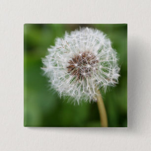 Make A Wish! Dandelion 15 Cm Square Badge