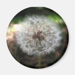 Make a Wish - Magnet
