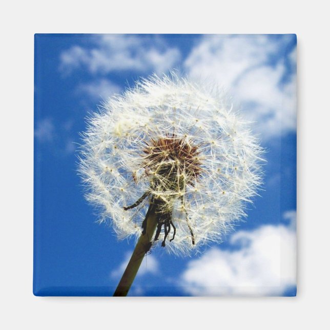 Make A Wish Magnet (Front)
