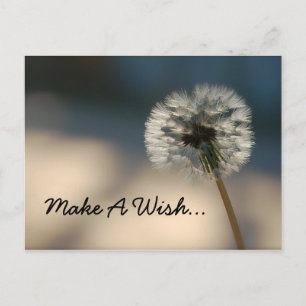 Make A Wish Postcard
