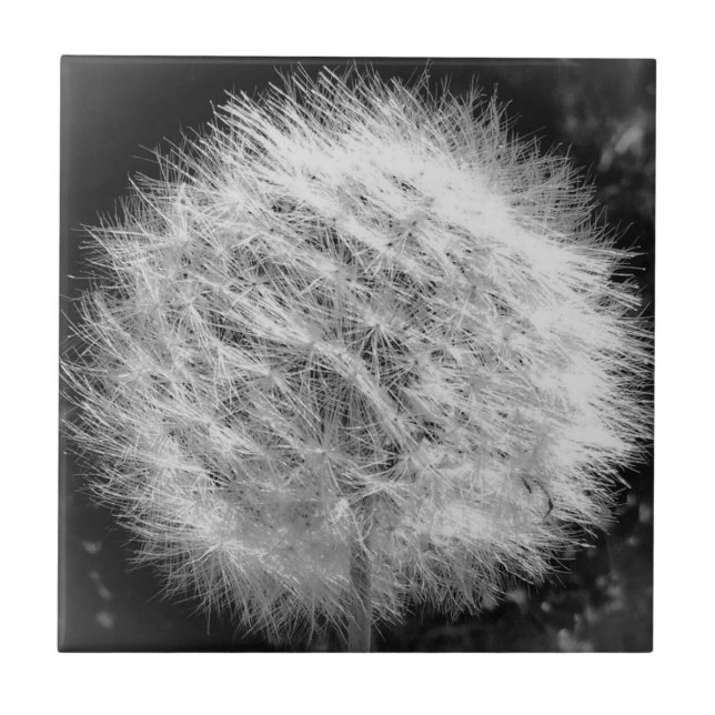 Make a Wish Tile (Front)