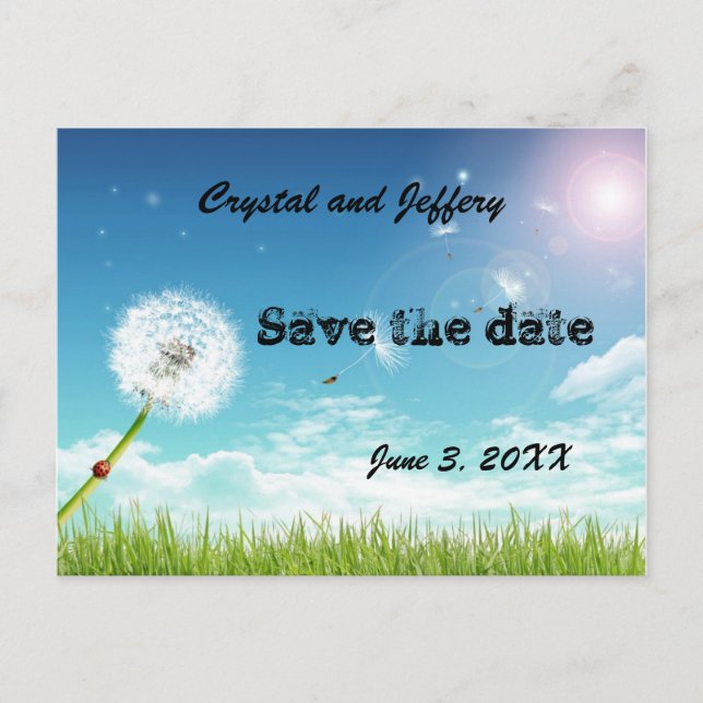 Make a Wish Wedding Save the Date Announcement Postcard (Front)