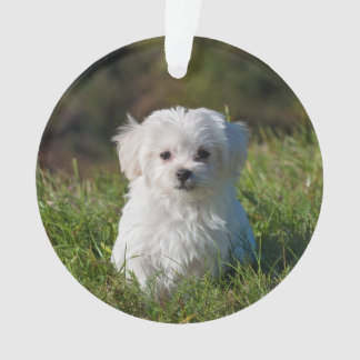 Make an Acrylic Christmas Ornament - Add Pic/Text