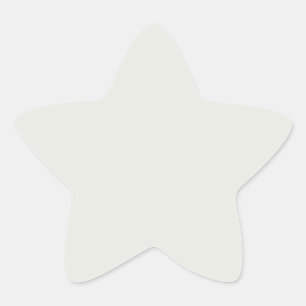 Make It Yours: Metallic Silver Background, Custom Star Sticker