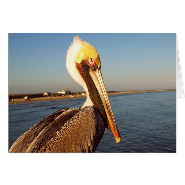 Make Me Blush (Front Horizontal)