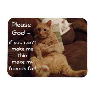 Make Me Thin Flexible Magnet