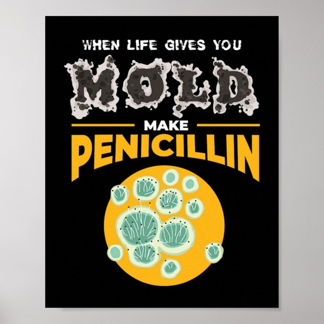 Make Penicillin Microbiology Chemistry Poster (Front)