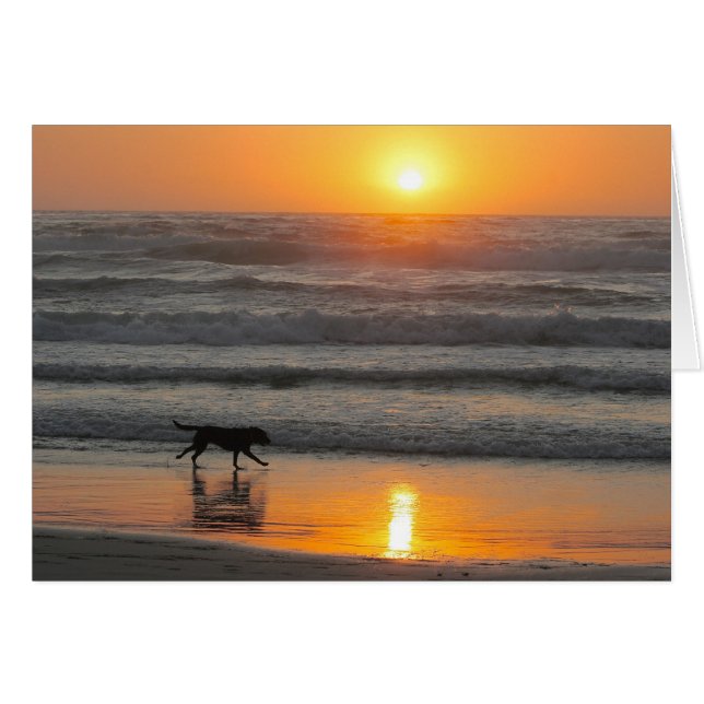 Make the Most of Your Day (Front Horizontal)