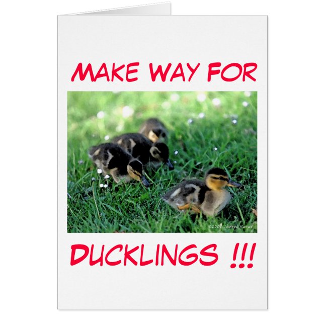 Make Way For Ducklings!!! (Front)