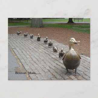 Make Way for Ducklings! Postcard