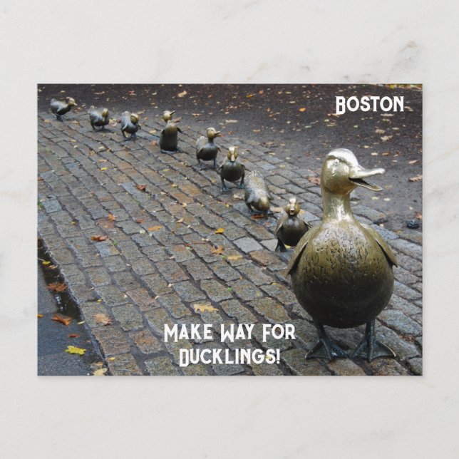 Make Way For Ducklings! Postcard (Front)