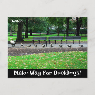 Make Way For Ducklings Postcard