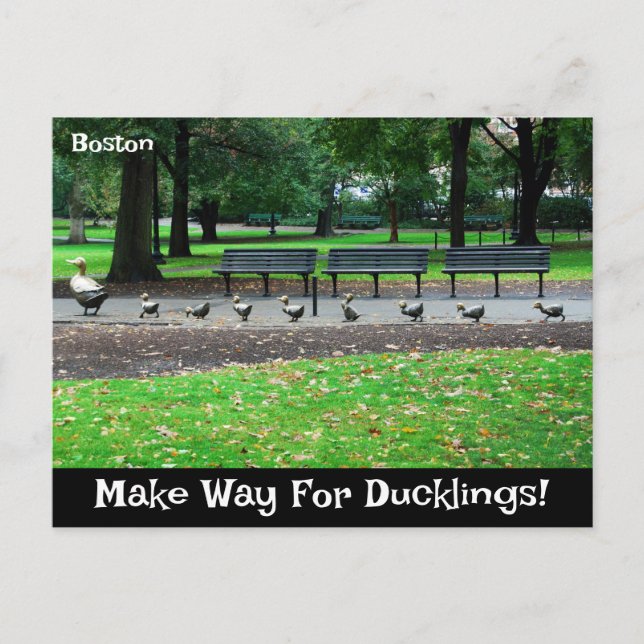 Make Way For Ducklings Postcard (Front)