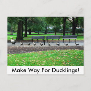 Make Way For Ducklings! Postcard