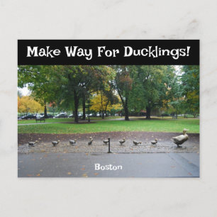 Make Way For Ducklings Postcard