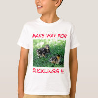 Make Way For Ducklings!!!