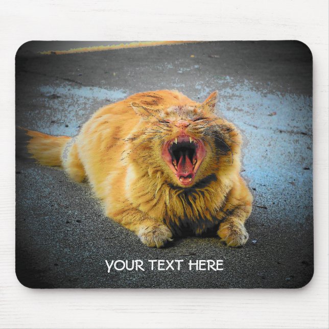Make Your Own Cat Meme Mouse Pad (Front)
