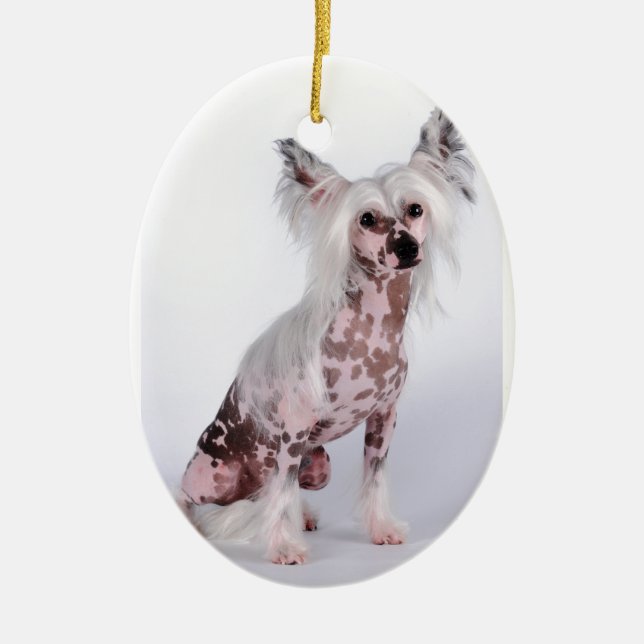 Make Your Own Ceramic Ornament (Front)