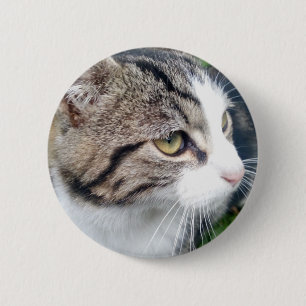 Make your own custom pet photo buttons