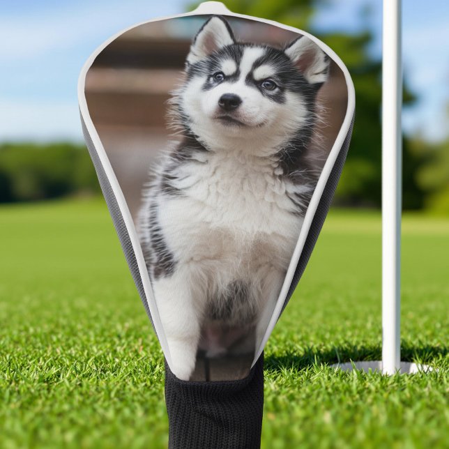 Make Your Own Custom Photo Family Pet Dog Animal   Golf Head Cover (Creator Uploaded)