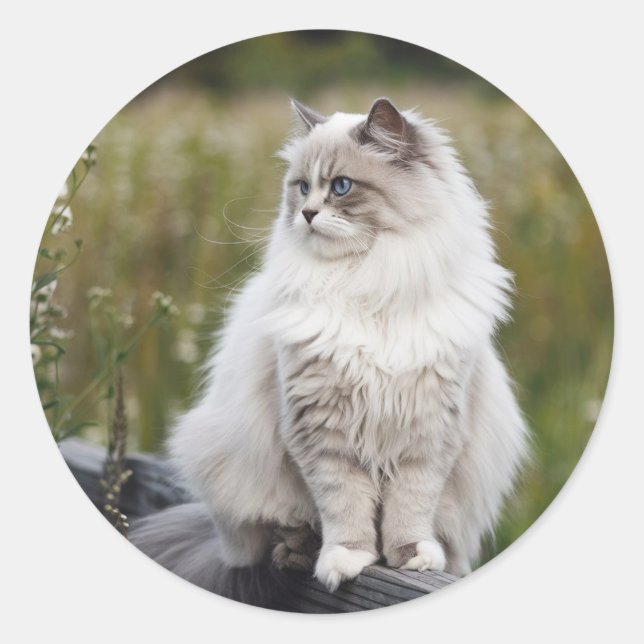 Make Your Own Custom Photo Pet Cat Dog Animal      Classic Round Sticker (Front)