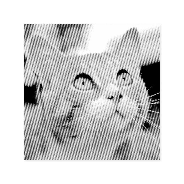 Make Your Own Custom Photo Stamp Pet Cat Image (Design)