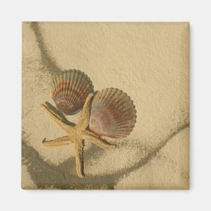 " Make Your Own Magnet- Beach Shells Magnet