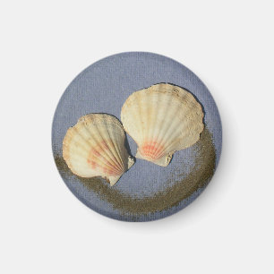 " Make Your Own Magnet- Beach Shells Magnet