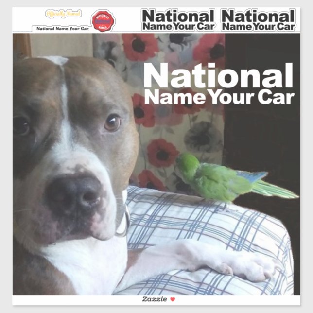 Make your own pet sticker. National name your car (Sheet)